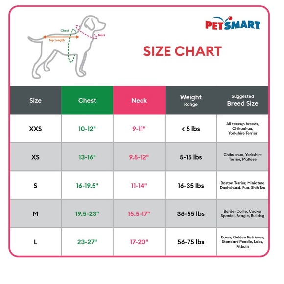 Pet Halloween costume - Picture 5 of 5